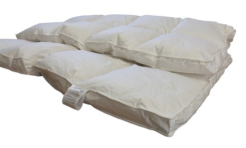 Hofmann premium 6cm kassetten - premium,